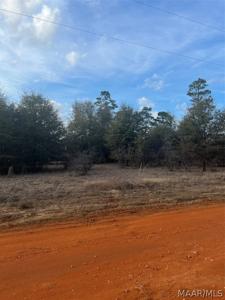Lot 49 Deer Loop