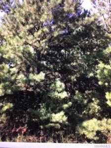 171 Martin Dam Road