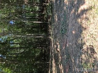 3 Foxfire Court