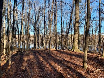 Lot 1 & 2 Waterview Drive