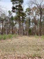 0 Hickory Loop (Lot 63)