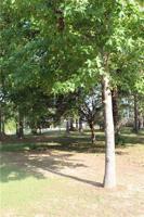 0000024 Stevens Circle