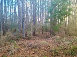 00 Hickory Hill Road