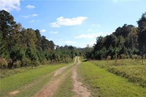TRACT 9B UNIVERSITY Parkway