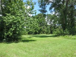 TBD FOREST Drive