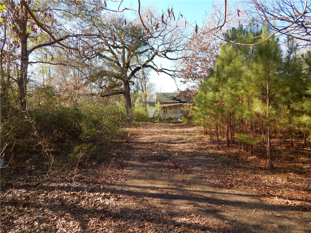 1909 Texas Street, NATCHITOCHES, LA lhrmls01379776