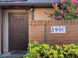 390 WINDERMERE Boulevard