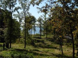Tract 29 Stoney Creek Drive