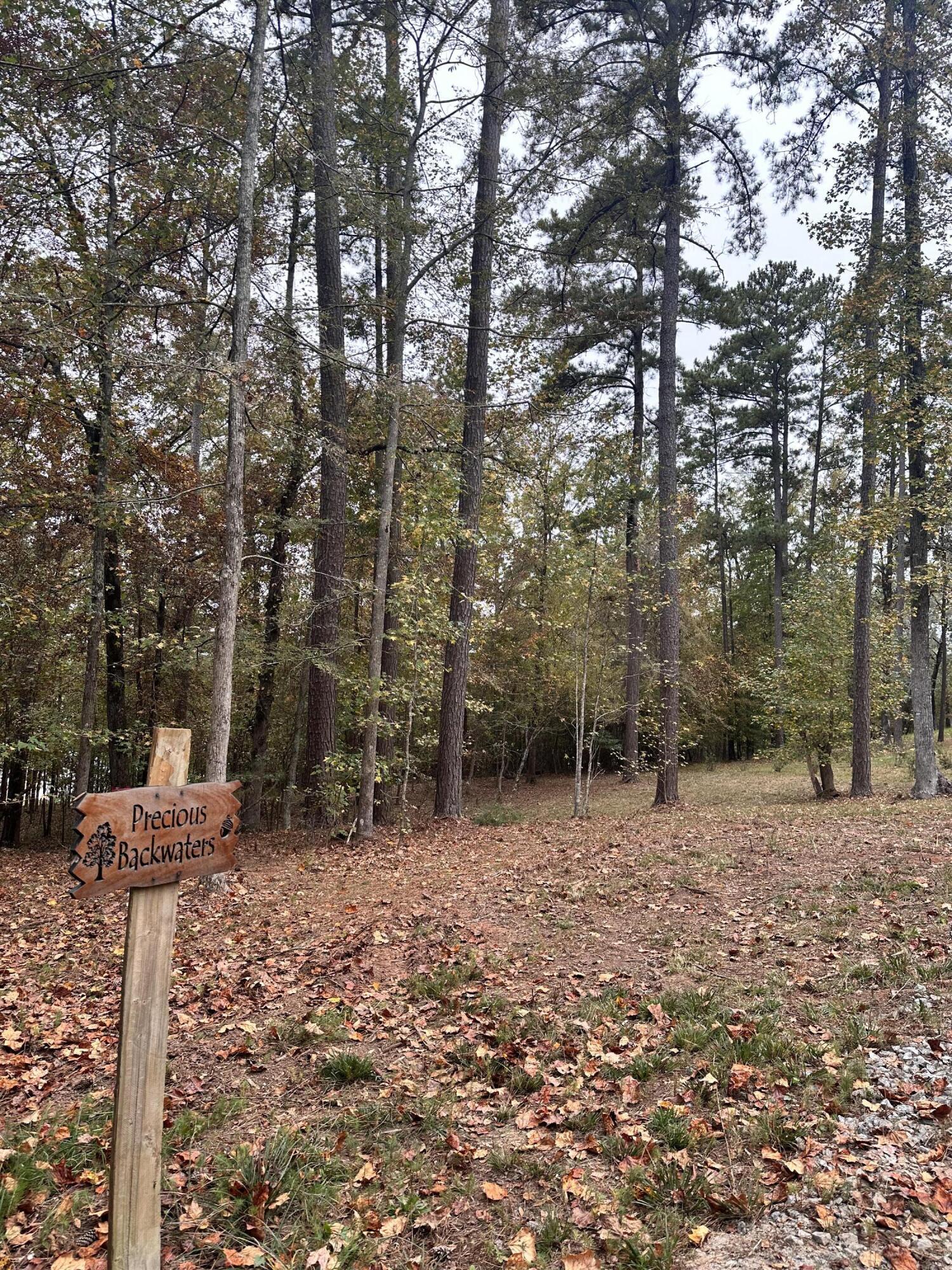 1561 TREASURE Cove, Tignall, GA lhrmls01398420