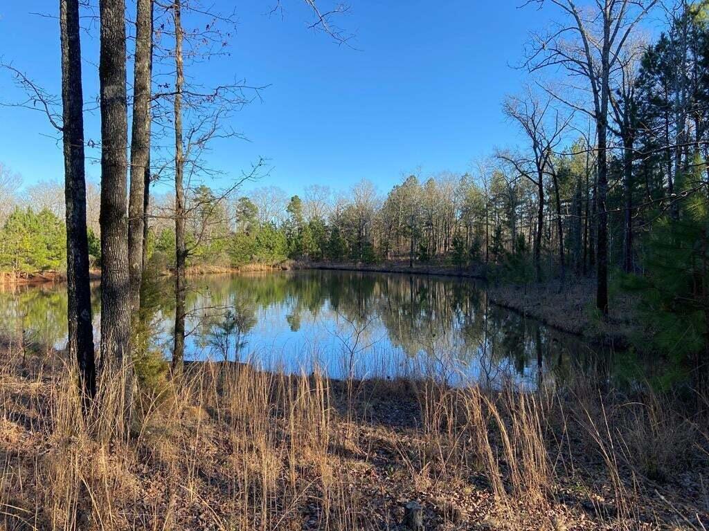 Image 3: 1008 Serenity Point Dr Pond