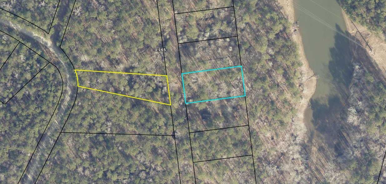 Image 1: Buckhead Rd arial