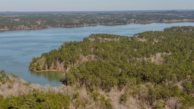 Image 3: DJI_0556