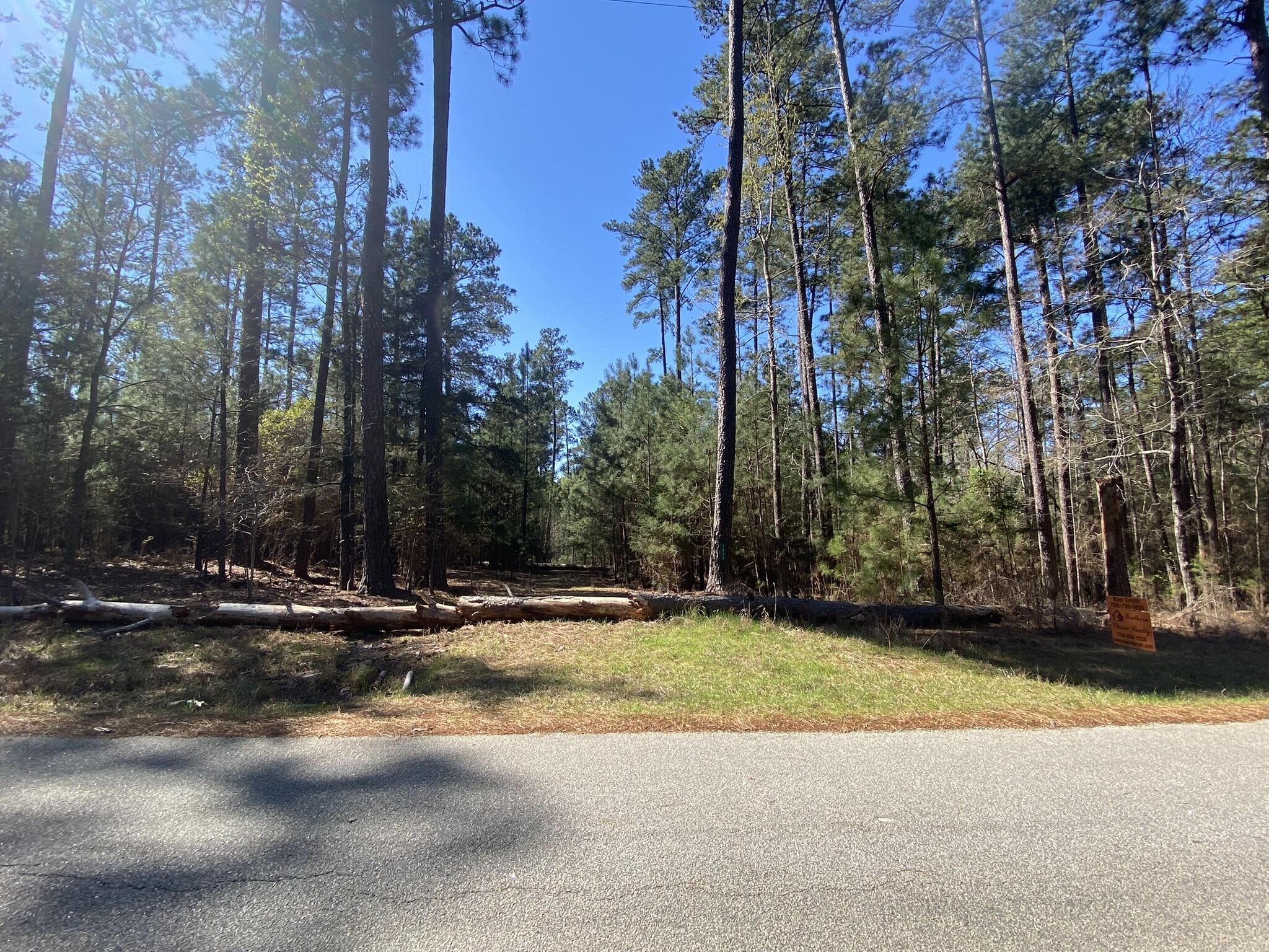 0103 SEMINOLE Drive, Lincolnton, GA lhrmls01547954