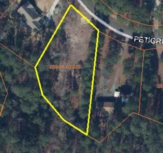 142 Petigru Circle