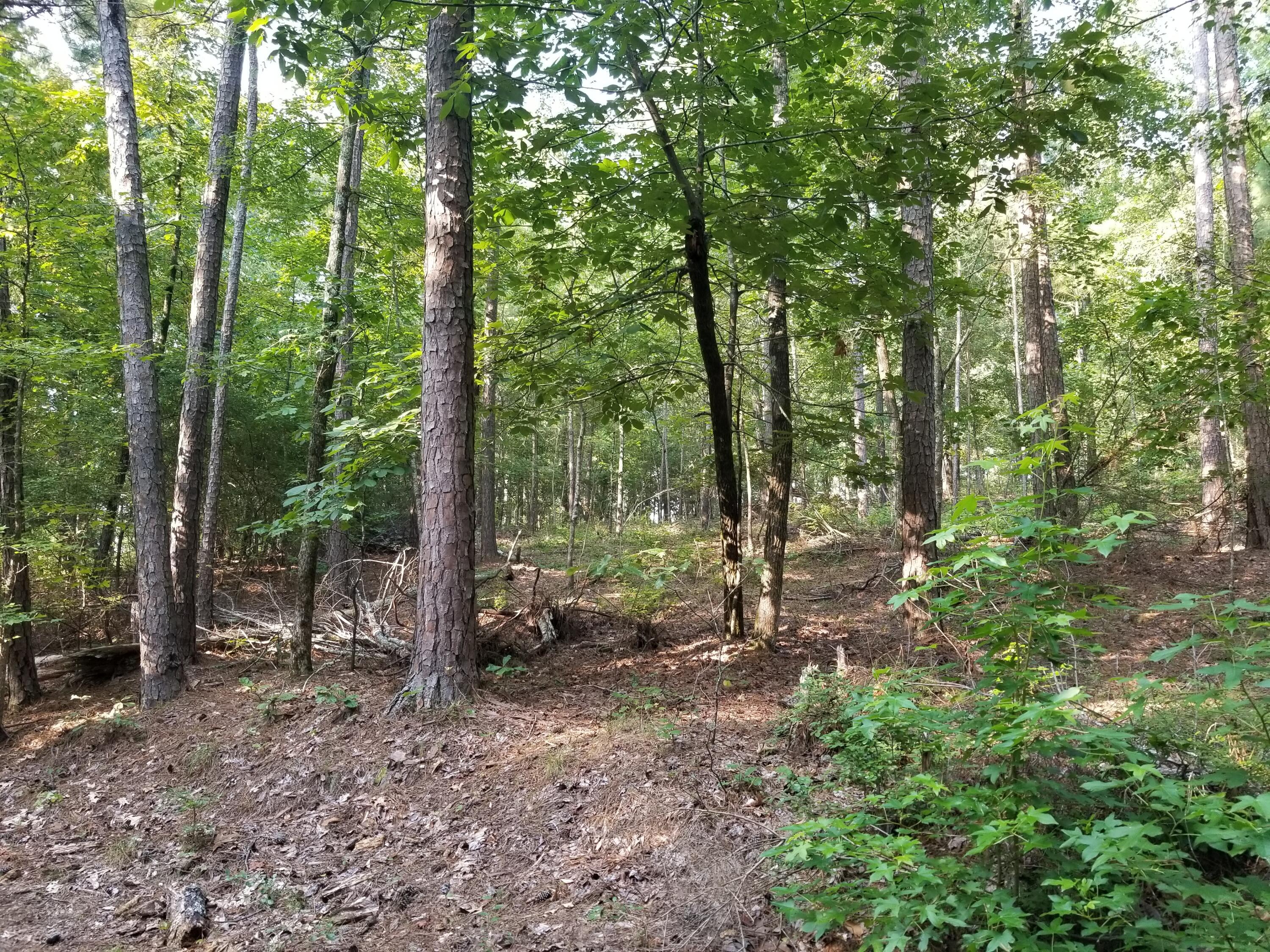 1530 TREASURE COVE, Tignall, GA lhrmls01749392