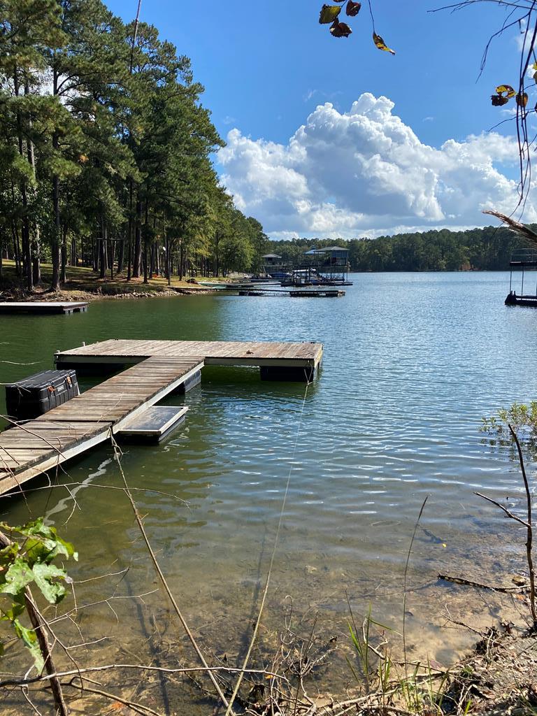 6320 Keg Creek Drive, APPLING, GA lhrmls00625937