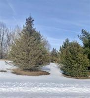 0 S Forest Lake