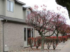 45 Harbour View Pointe
