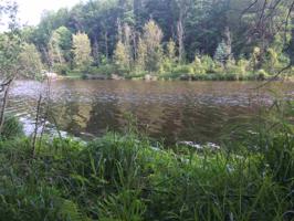 0 S Forest Lake Lot 12&13