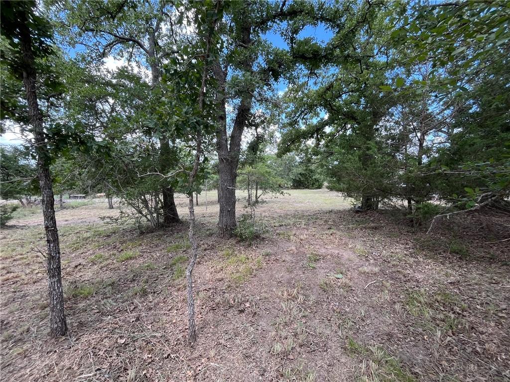 Image 4: View of yard