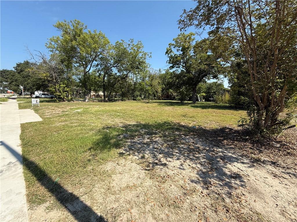 Image 2: View of yard