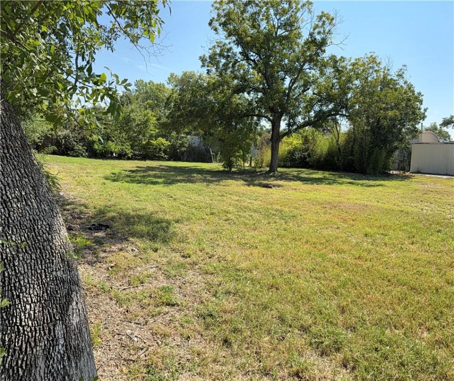 Image 3: View of grassy yard
