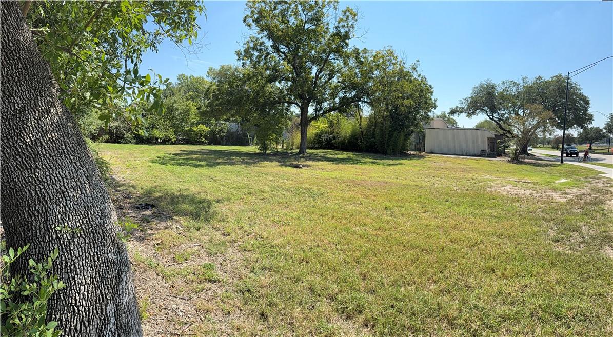 Image 4: View of green lawn