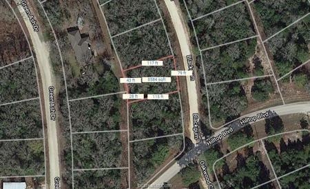 Lot 16 Blackgum Drive