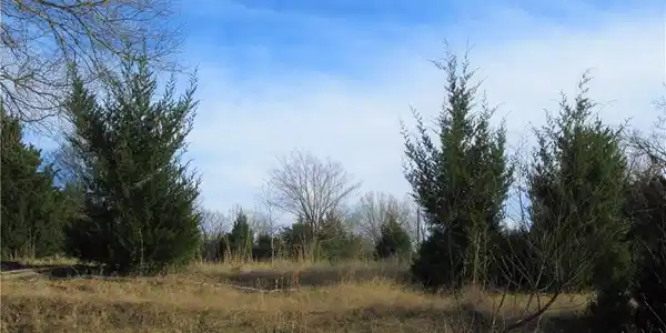 TBD Lot 31 Post Oak Loop