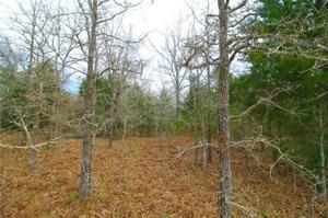 TBD Lot 75 Park Road 4 Circle