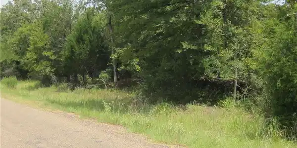 Lot 15 Post Oak Loop