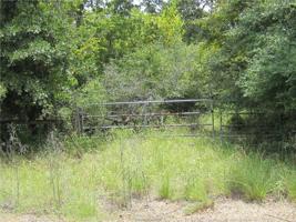 Lot 16 Post Oak Loop