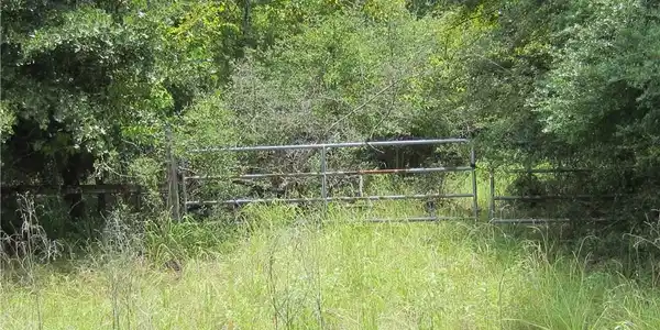 Lot 16 Post Oak Loop