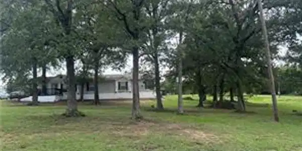 309 Limestone County Rd. 894