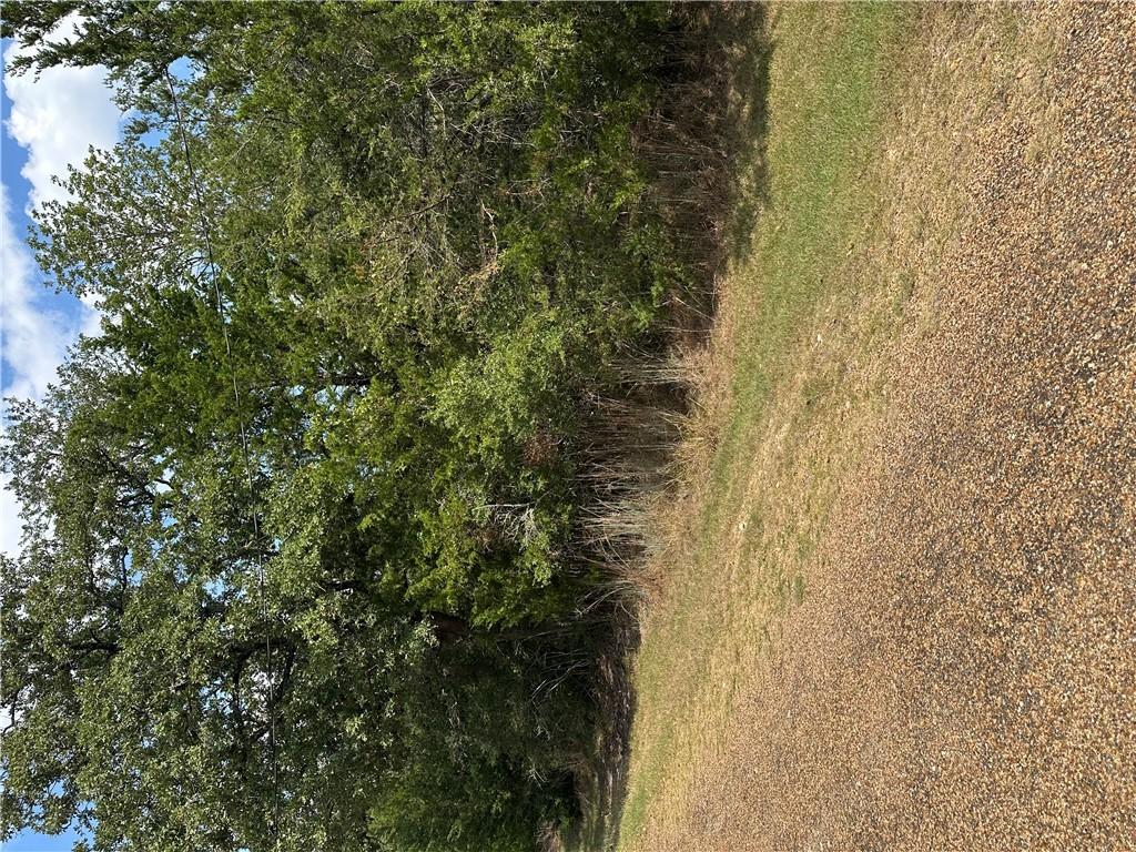 Image 1: View of nature