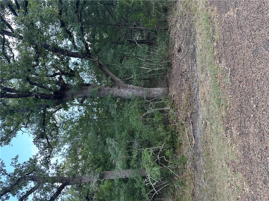 Image 2: View of local wilderness