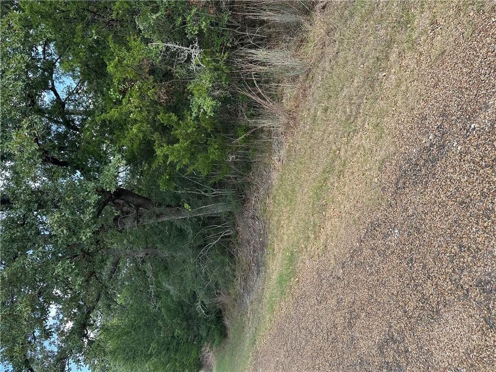 Image 3: View of undeveloped land