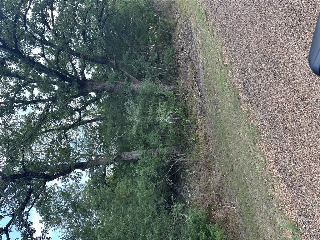 Image 4: View of yard