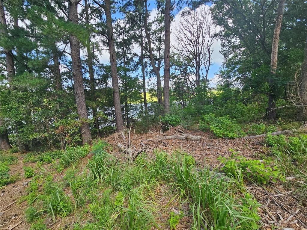 Image 2: View of local lot