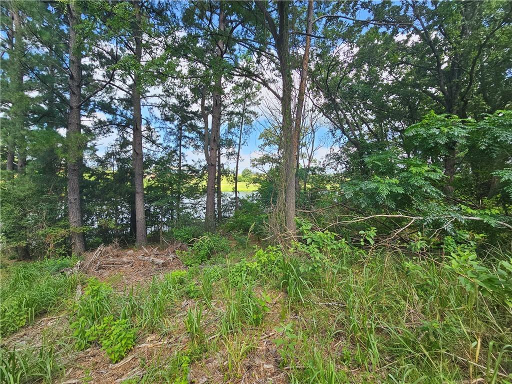 Image 3: View of local lot