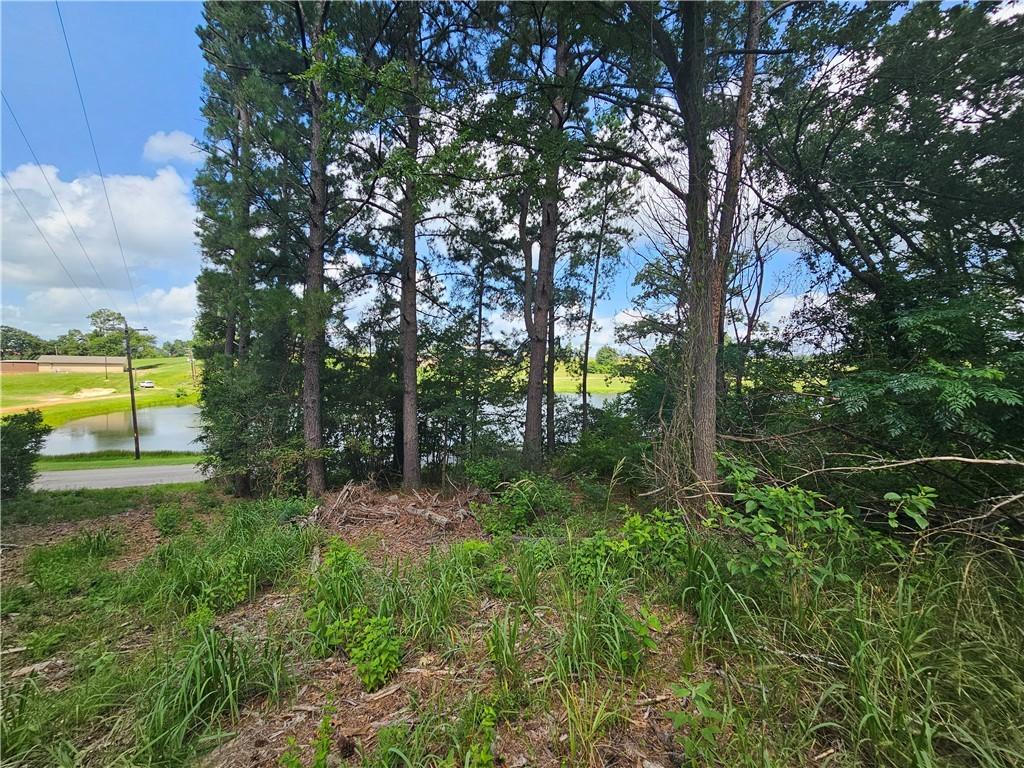 Image 4: View of Lot featuring view of lake