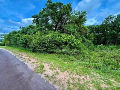 TBD Jamaica Drive