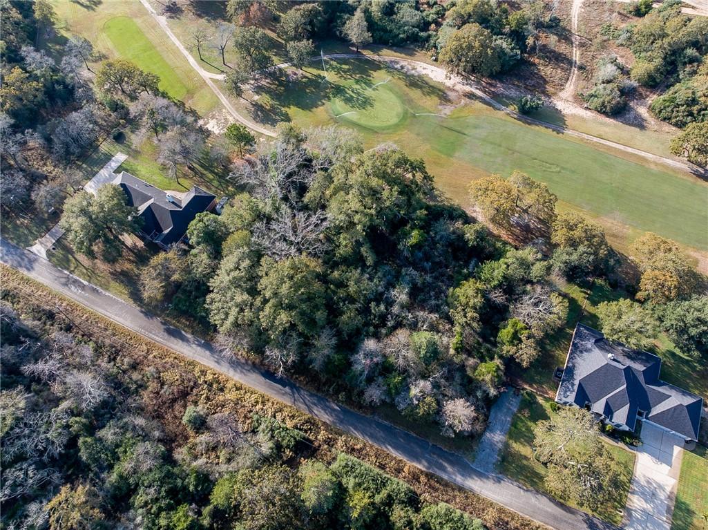 Image 4: Drone / aerial view