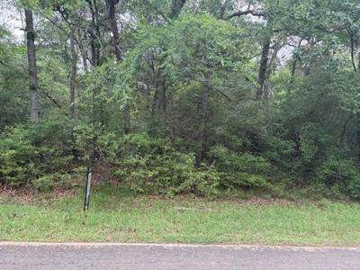 TBD #2 Post Oak Drive E