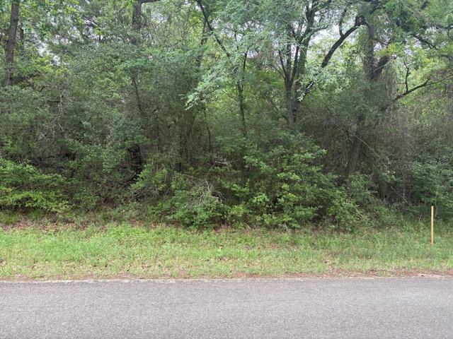 Image 2: Wooded lot for sale that is a good level lot.