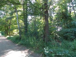 Lot 50 Iroquois St