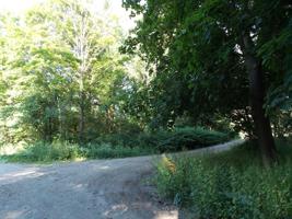 Lot 65 Iroquois St
