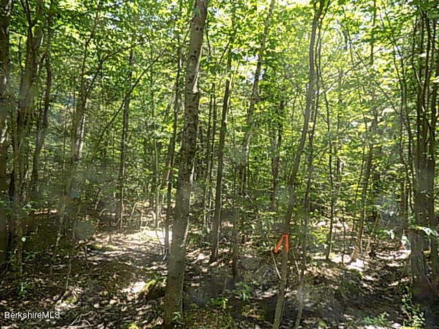 Image 1: Lot