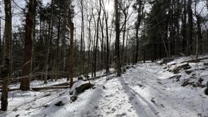 Lot 12 Rainbow Rd