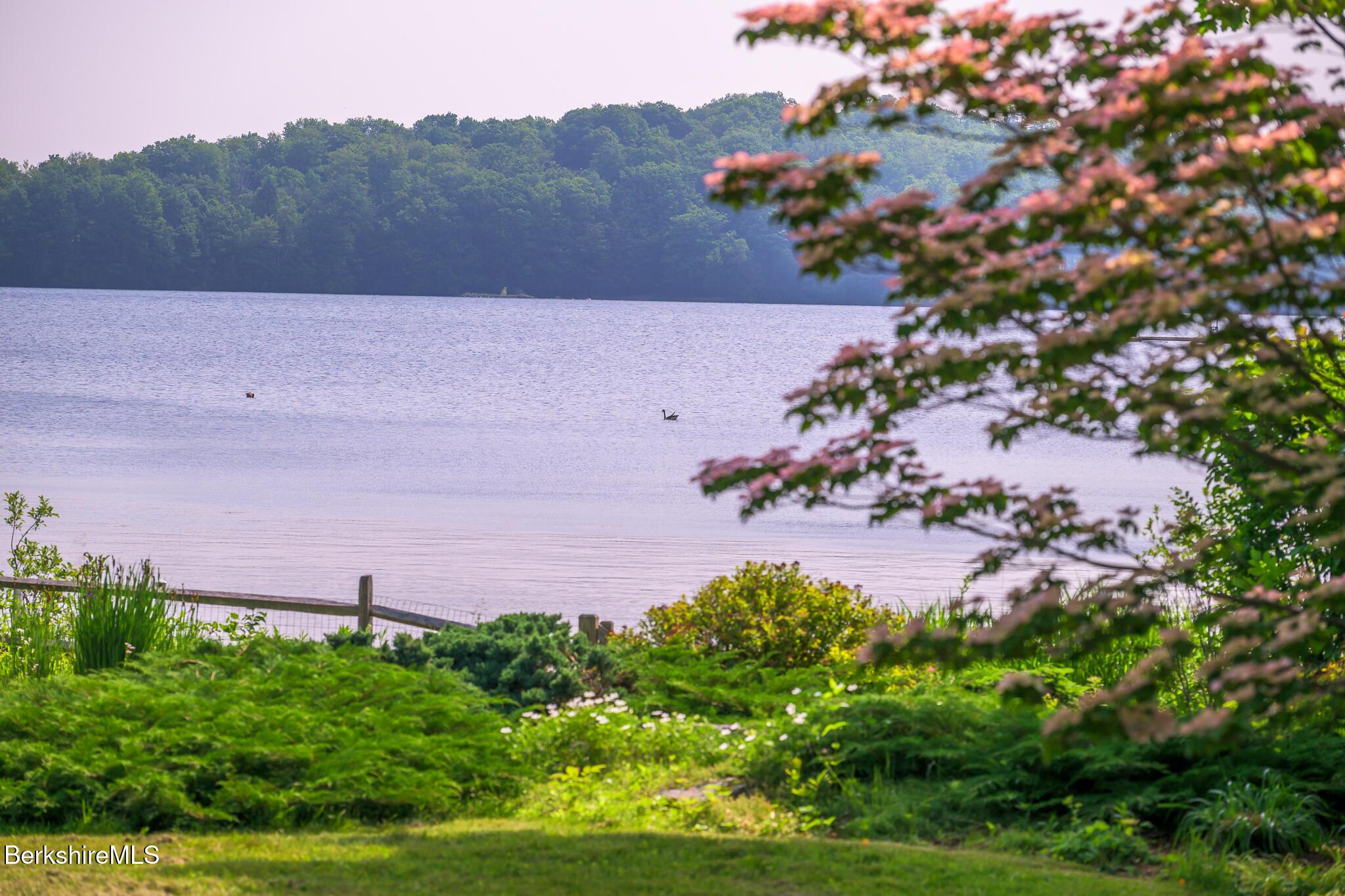 Image 3: Water View with Ducks